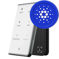 Ledger Stax wallet logo combined with Cardano branding for premium cold storage and staking security