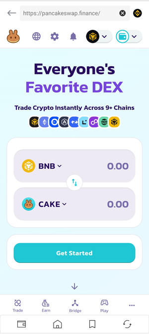 D'CENT wallet for BNB Chain connected to PancakeSwap