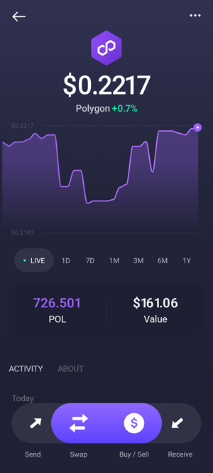 Exodus wallet showing POL cryptocurrency balance