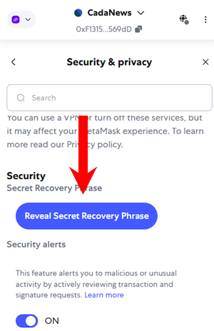 Reveal Recovery Phrase in MetaMask wallet