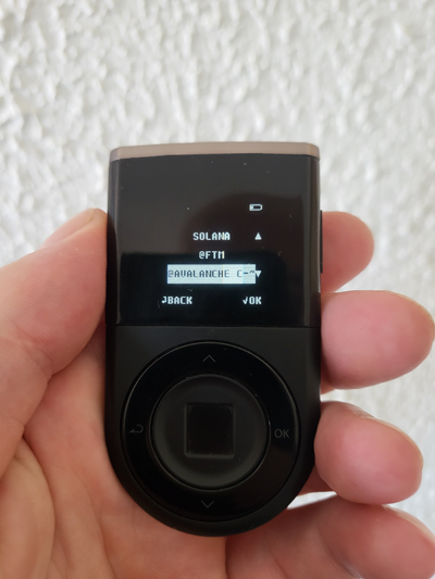 D'CENT hardware wallet displaying Avalanche app