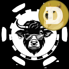 Best DOGE Casinos No KYC Required WSM Casino