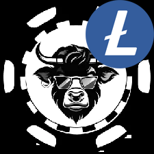 Best Litecoin Casinos No KYC Required WSM Casino