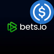 Best USDC Casinos No KYC Required BetsIO