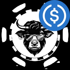 Best USDC Casinos No KYC Required WSM Casino