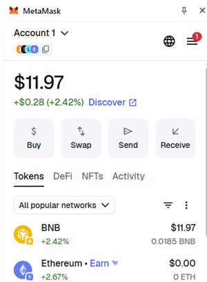 MetaMask wallet showing BNB amount