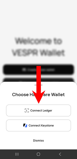 VESPR Cardano mobile wallet connect Ledger option